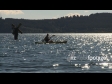 Canoe on Lake 1 1720